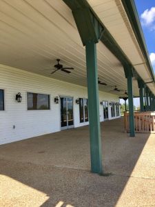 Back Patio